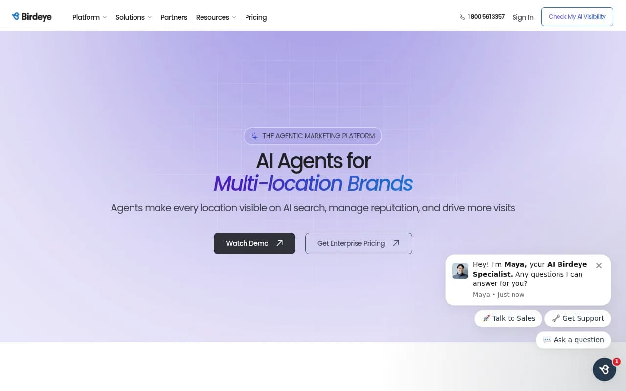 Screenshot of Birdeye Search AI website